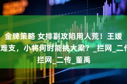 金牌策略 女排副攻陷用人荒！王媛媛独木难支，小将何时能挑大梁？_拦网_二传_董禹