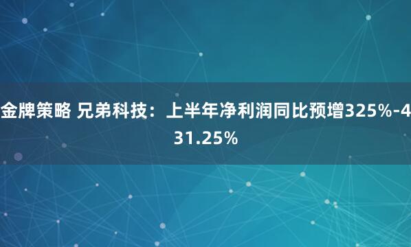 金牌策略 兄弟科技：上半年净利润同比预增325%-431.25%