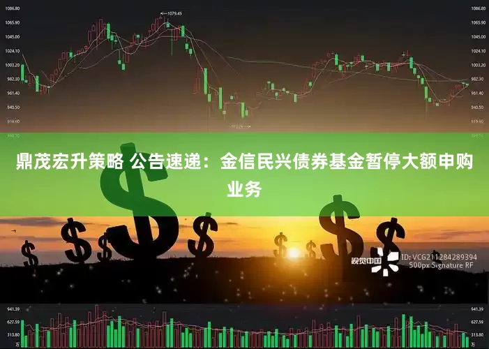 鼎茂宏升策略 公告速递：金信民兴债券基金暂停大额申购业务