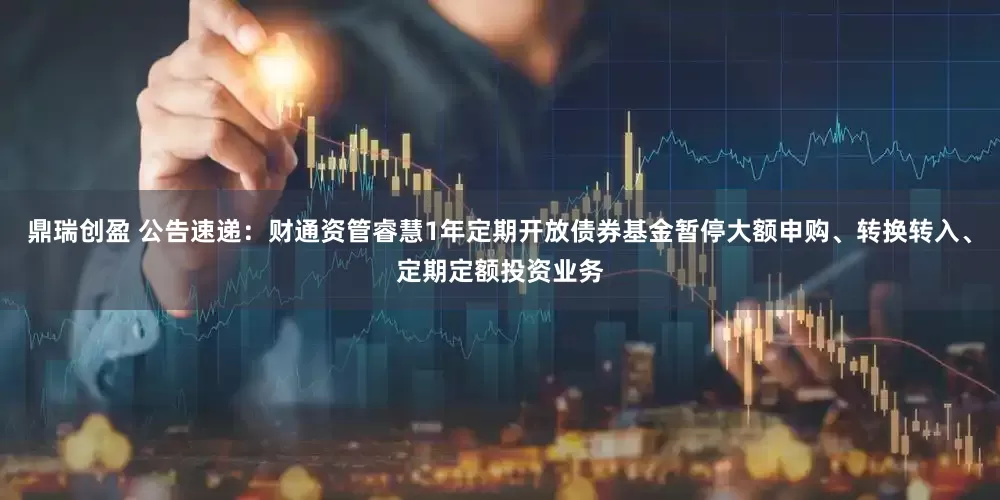 鼎瑞创盈 公告速递：财通资管睿慧1年定期开放债券基金暂停大额申购、转换转入、定期定额投资业务