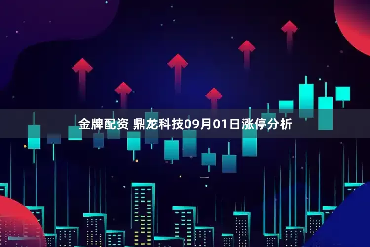 金牌配资 鼎龙科技09月01日涨停分析